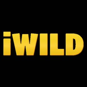 iWild legalne kasyna online